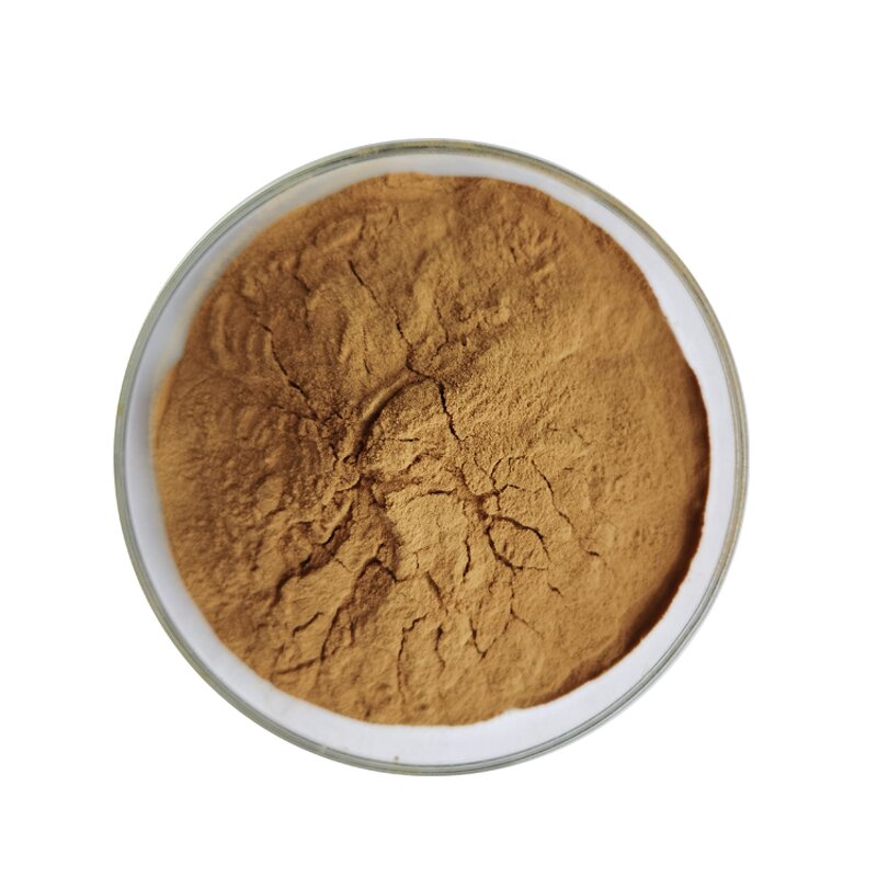 Tribulus Extract - Manufacturer 90% Saponins Vacuum Packed Herbal Powder