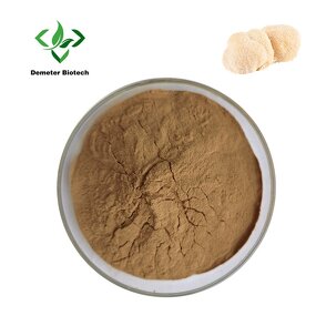 Lion's Mane Extract - Manufacturer Wholesale Organic Raw Material Powder