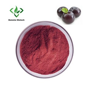 Maqui Berry Powder - Manufacturer Natural Organic Pure Food Grade