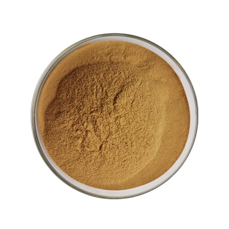 Green Tea Extract - Manufacturer 95% Polyphenols 40% EGCG Powder