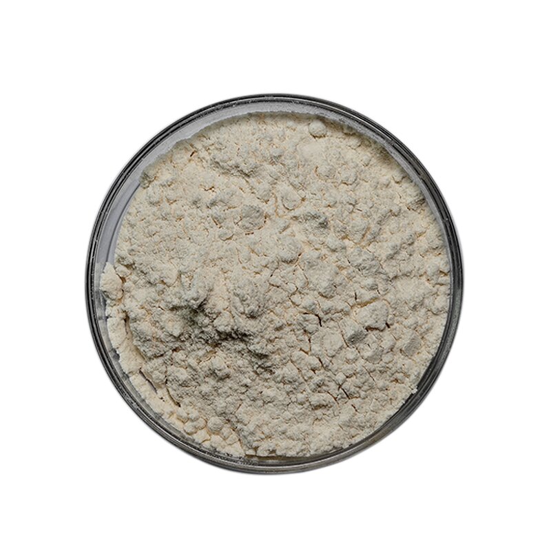 Epsilon-polylysine - Manufacturer CAS25104-18-1 Wholesale Food Grade