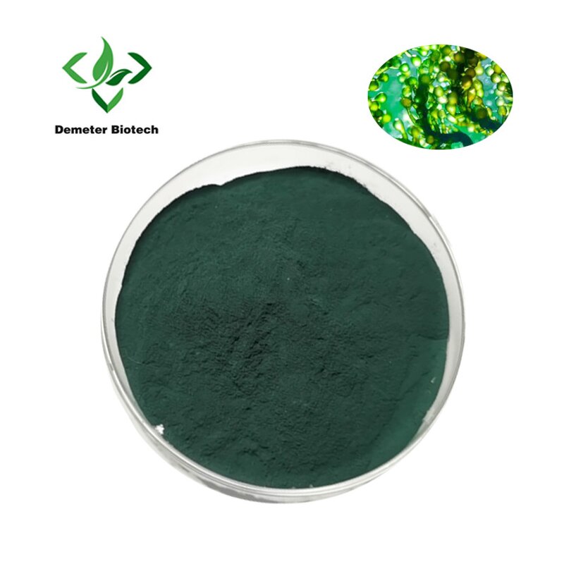 Chlorophyllin Powder - Manufacturer Organic Sodium Copper Food Grade Pigment