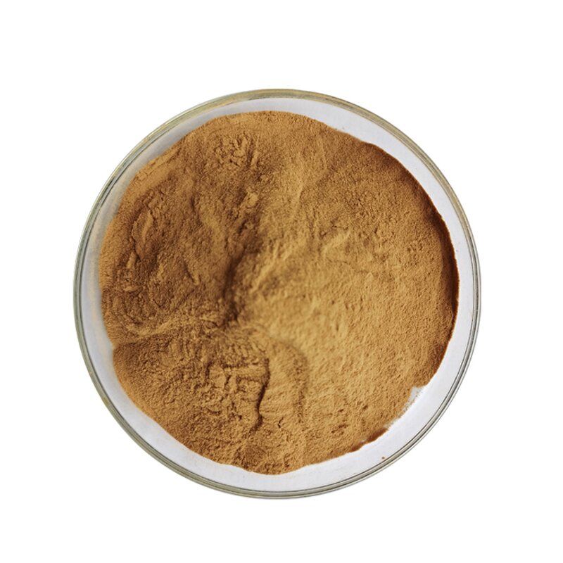 Green Tea Extract - Manufacturer 95% Polyphenols 40% EGCG Powder