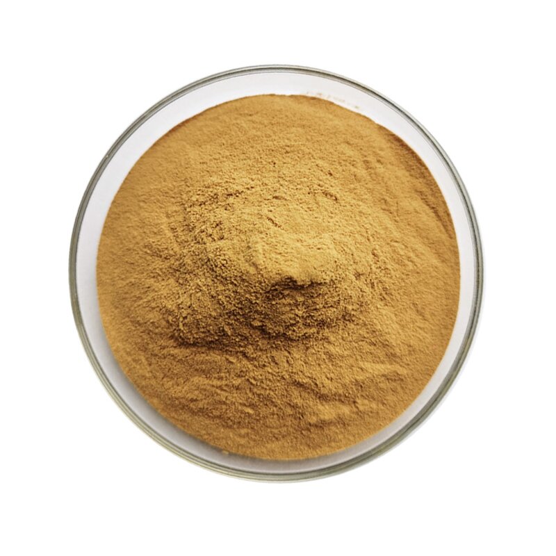 Bacopa Extract - Manufacturer 10%-50% Bacopasides Monnieri Powder Bulk