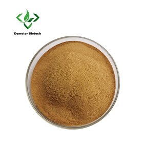 Leek Seed Extract - Manufacturer 100% Pure Natural High Quality Powder