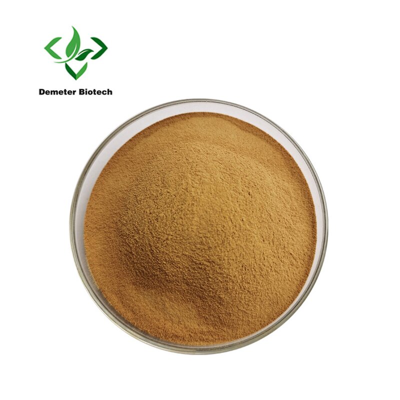 Leek Seed Extract - Manufacturer 100% Pure Natural High Quality Powder