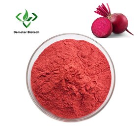 Beetroot Extract Powder - Manufacturer Natural Organic Red Beet Root Pure