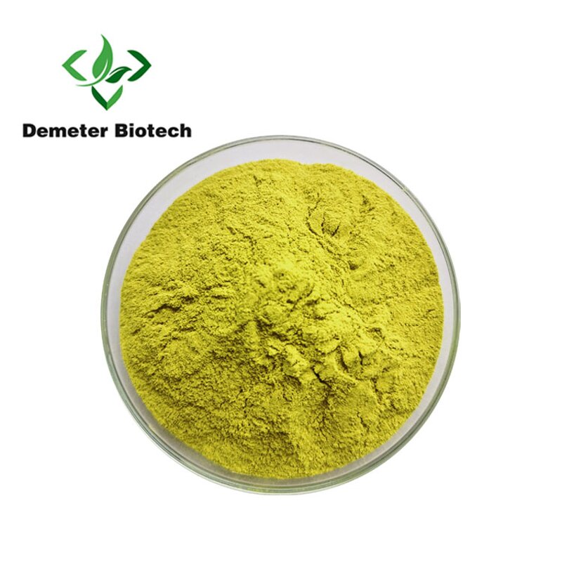 Sophora Japonica Extract - Manufacturer 98% Quercetin Natural Powder