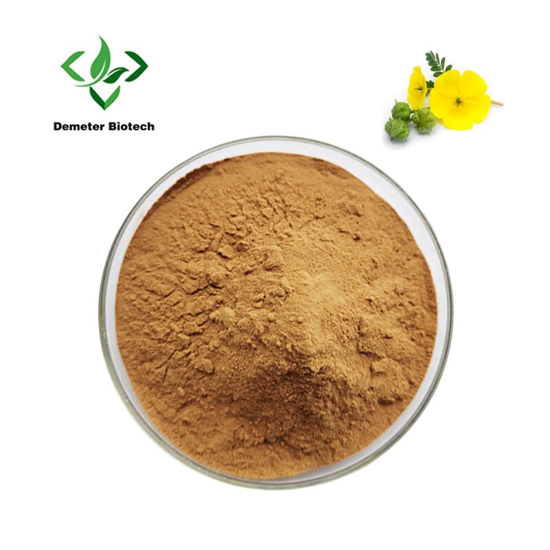 Tribulus Extract - Manufacturer 90% Saponins Natural Pure Powder
