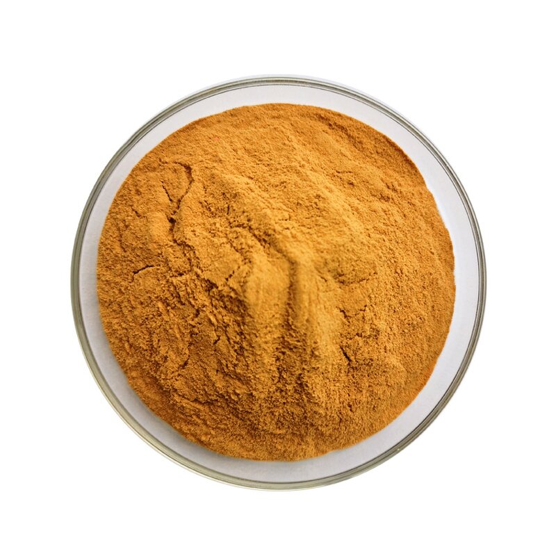Curcumin Powder - Manufacturer 95% Turmeric Extract Pure Natural