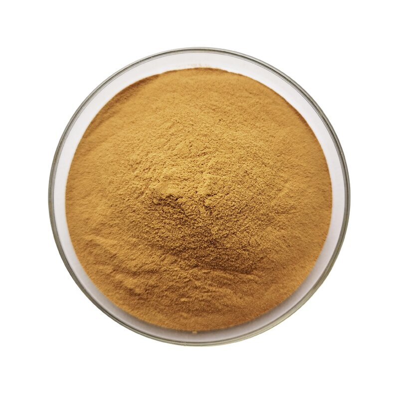 Flax Seed Extract - Manufacturer Wholesale Pure Organic Powder