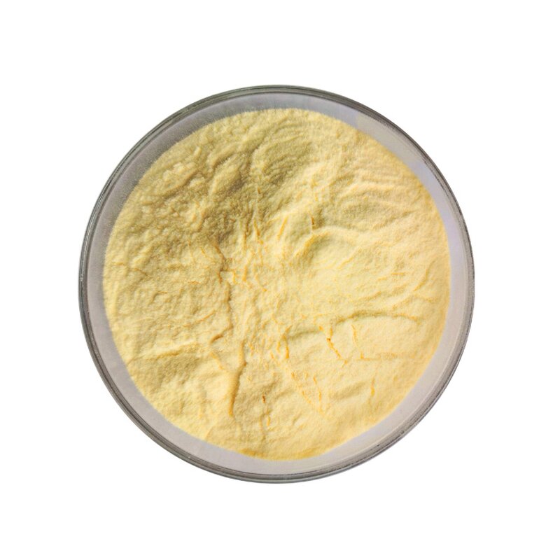 Ginger Extract - Manufacturer Organic Gingerols Natural Pure Powder