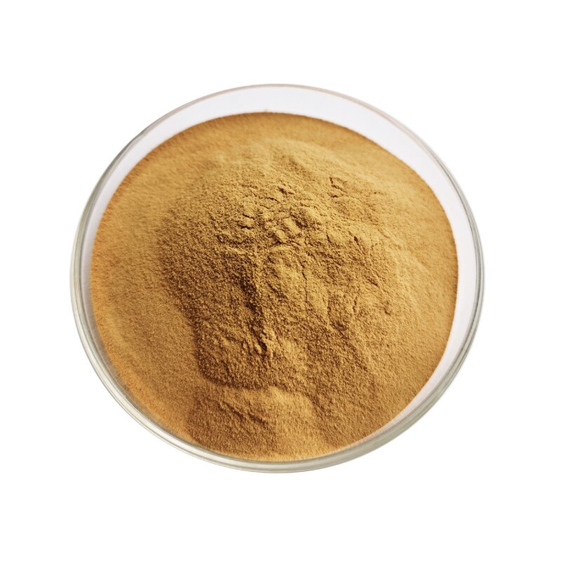 Leek Seed Extract - Manufacturer 100% Pure Natural High Quality Powder