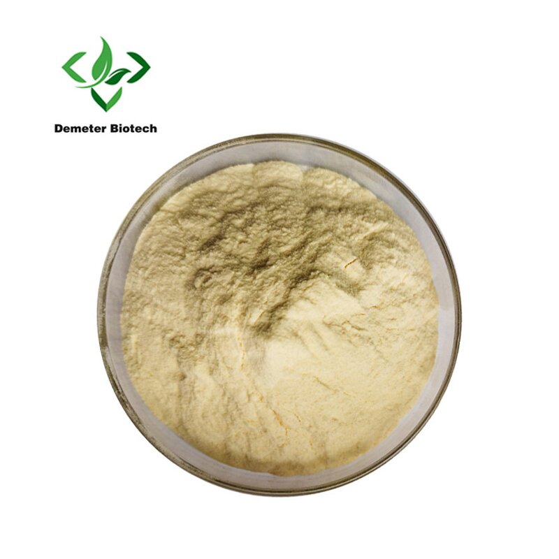 Lemon Juice Powder - Manufacturer 100% Water Soluble Pure Natural