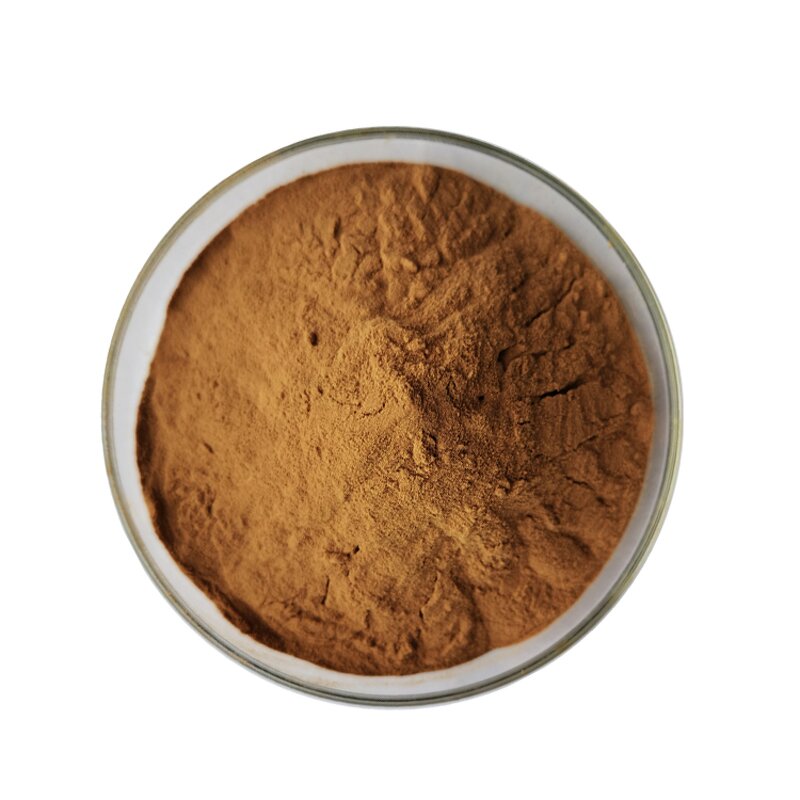 Holly Extract - Manufacturer Natural Instant Chinese Pure Powder