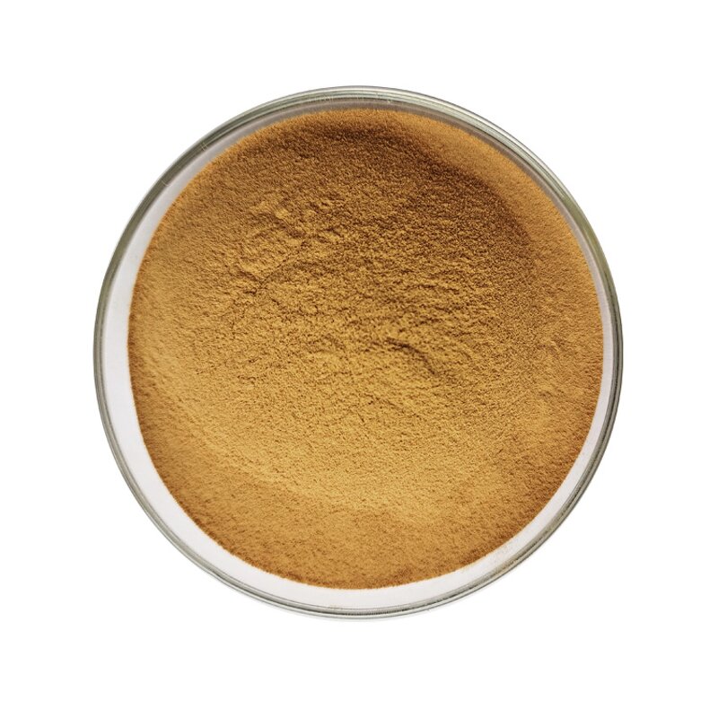 Bacopa Extract - Manufacturer 10%-50% Bacopasides Monnieri Powder Bulk