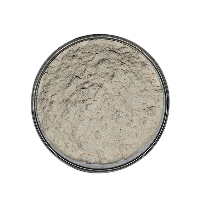 Epsilon-polylysine - Manufacturer CAS25104-18-1 Wholesale Food Grade