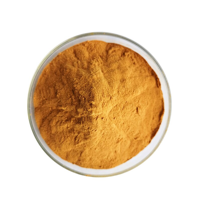 Curcumin Powder - Manufacturer 95% Turmeric Extract Pure Natural