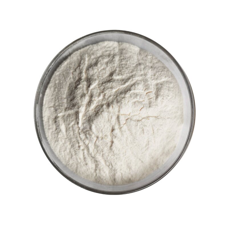 Papain Enzyme - Manufacturer High Quality Papaya Extract Pure Powder