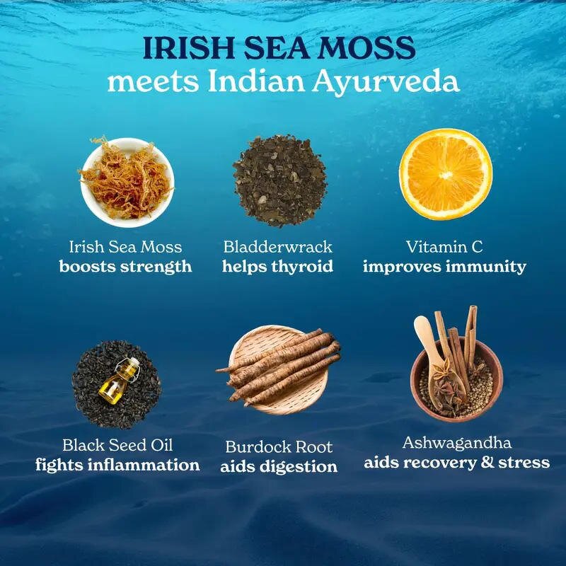Sea Moss Capsules Manufacturer - OEM Private Label with Black Seed Oil Ashwagandha