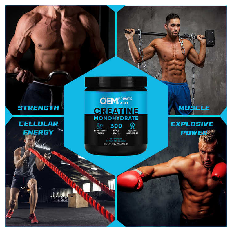 Creatine Monohydrate Powder Manufacturer - OEM Private Label Micronized High Purity for Adults
