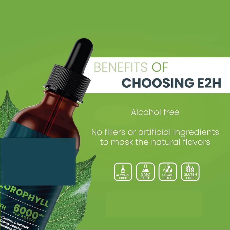 Chlorophyll Liquid Drops Manufacturer - ODM OEM 60ml for Radiant Skin