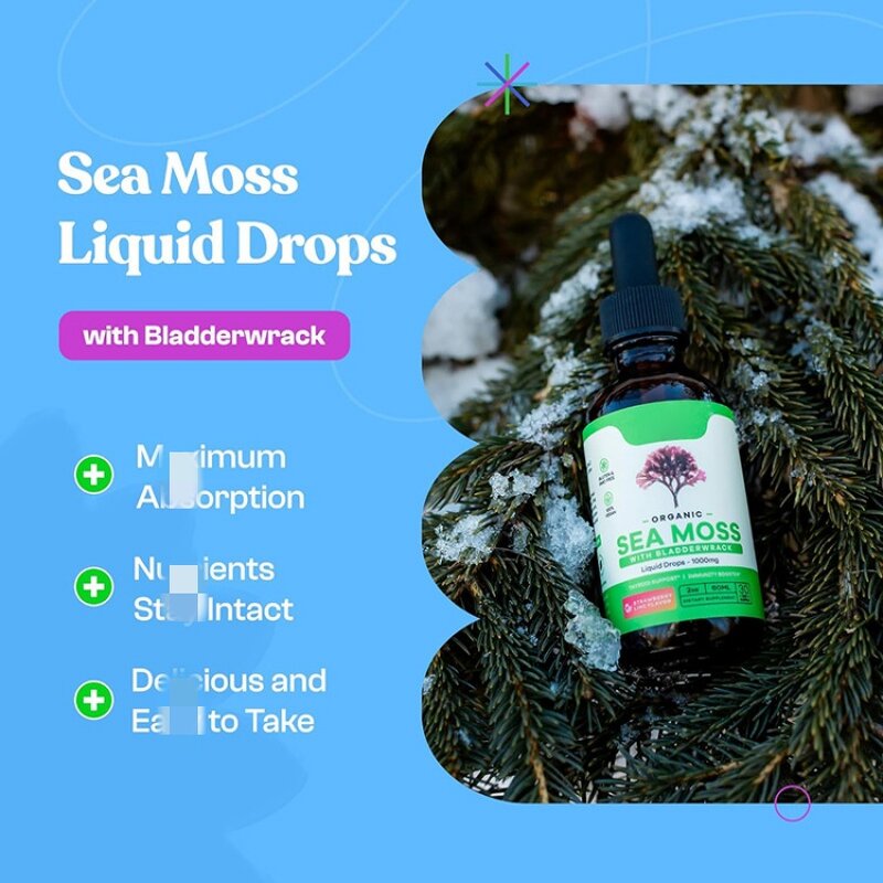 Sea Moss Drop Manufacturer - ODM Private Label Immune Boosting Multivitamins Small