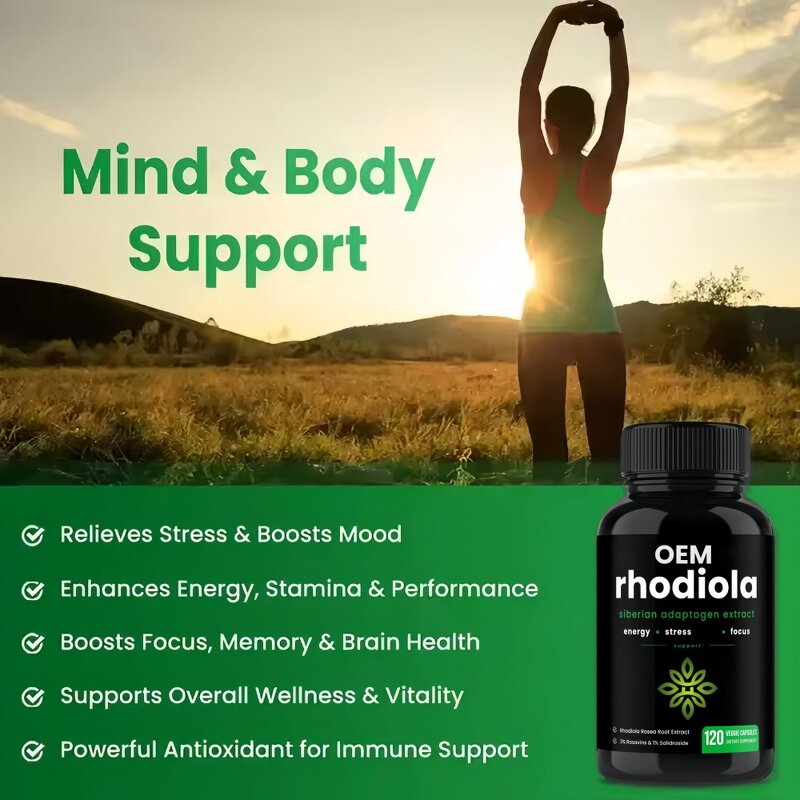 Rhodiola Rosea Capsules Manufacturer - OEM Private Label Herbal Extract Powder