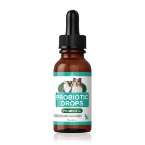 Probiotic For Dogs Supplier - Effective Formula Ready Stock
