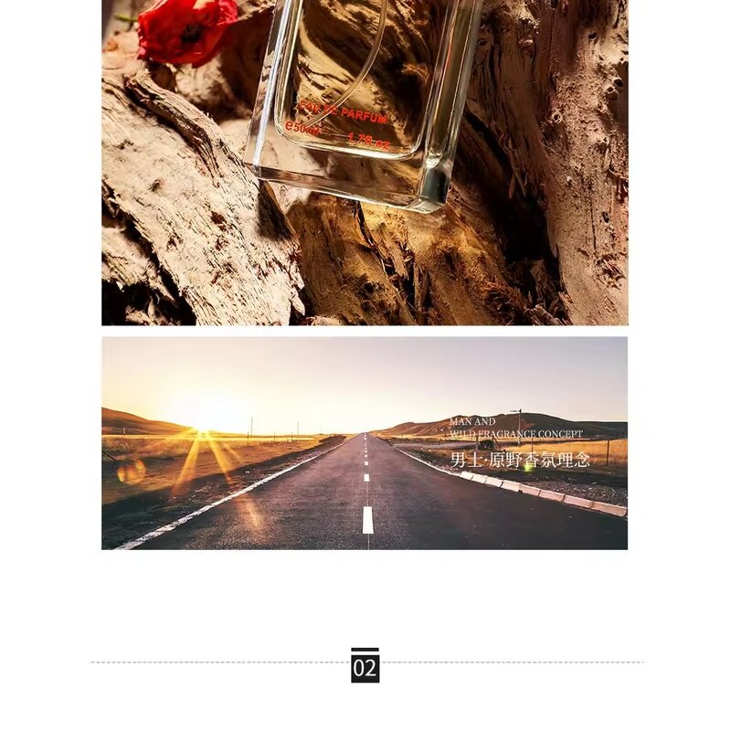 Perfume Manufacturer - OEM 50ml Wood Toned EDP for Men Body Spray