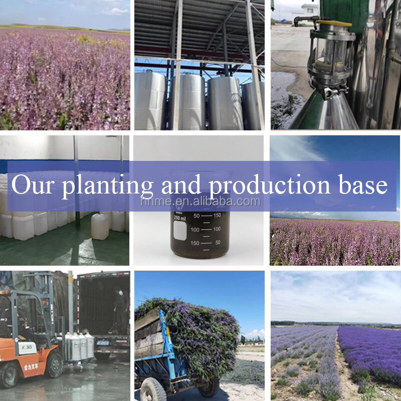 Men's Perfume Oil - 1000ml Woody Pure Concentrate The Scent of Peace Free Sample