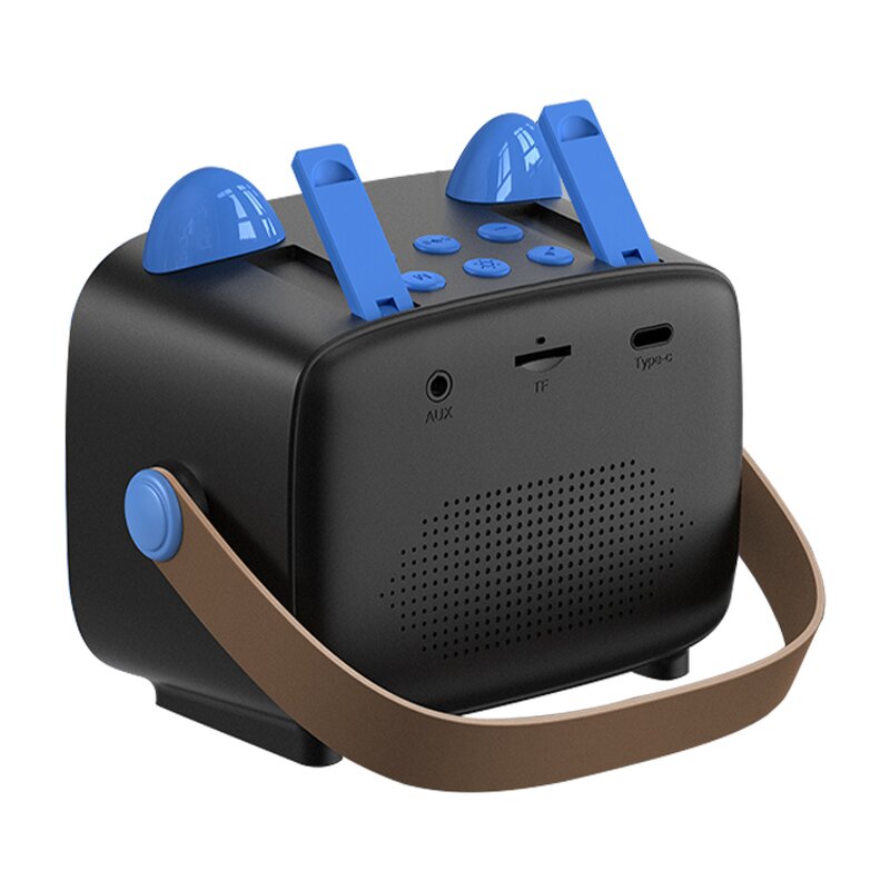 Karaoke Speaker Manufacturer - T99 BT5.3 Professional Singing Home HandHold Portable with Wireless Microphone