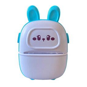 Thermal Printer Manufacturer - Newest Factory Price Children Gift Portable Easy USE BT Connect D2 Mini
