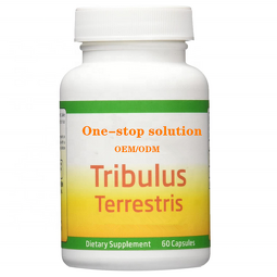 Vitamin C Zinc Effervescent Tablets Supplier - OEM Immune Energy