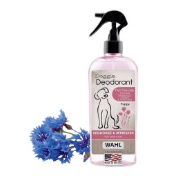 Folic Acid Tablets Supplier - Pregnant Women Supplement