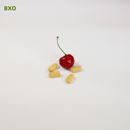 Hyaluronic Acid Tablets Supplier - OEM ODM High Quality