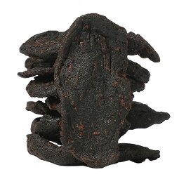 Rehmannia Root Powder Manufacturer - Organic Immune Support