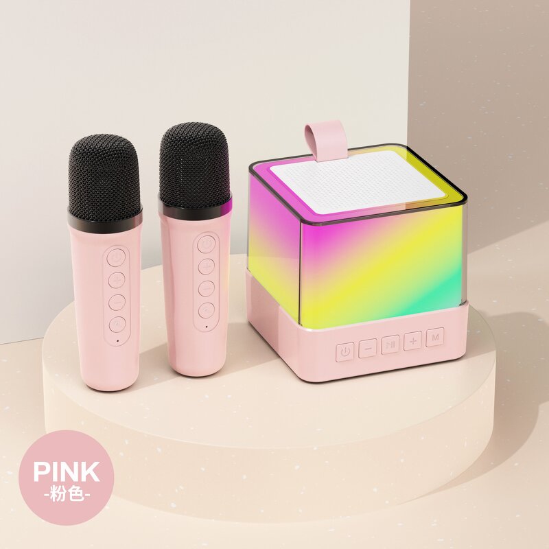 Karaoke Speaker Manufacturer - 2024 Newest Mini Wireless with Microphone Portable Home BT Party AUX AC