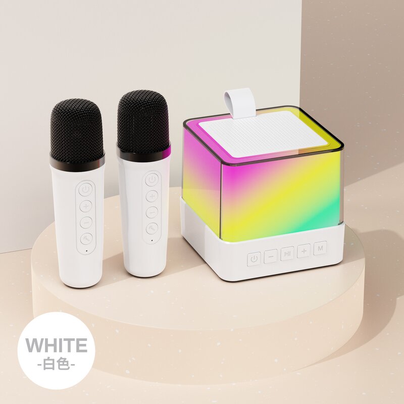 Karaoke Speaker Manufacturer - 2024 Newest Mini Wireless with Microphone Portable Home BT Party AUX AC