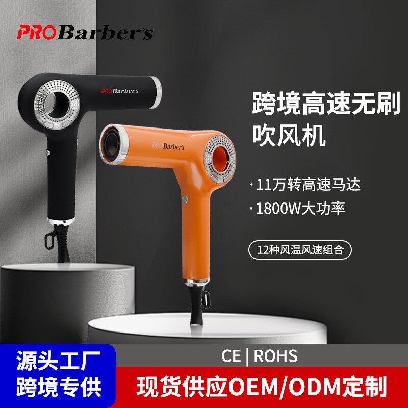 Hair Dryer Manufacturer - 1800W Salon Brushless 110000 RPM 3-Speed Anion