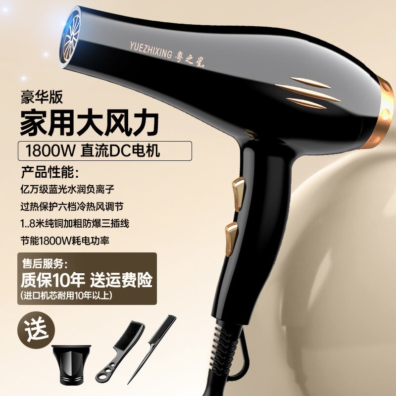 Hair Dryer Manufacturer - 1800W Salon Brushless 110000 RPM 3-Speed Anion