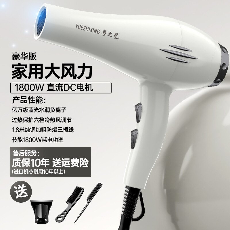 Hair Dryer Manufacturer - 1800W Salon Brushless 110000 RPM 3-Speed Anion