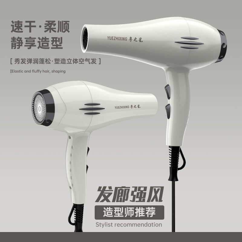 Hair Dryer Manufacturer - 2800W Salon Brushless 110000 RPM 3-Speed Anion