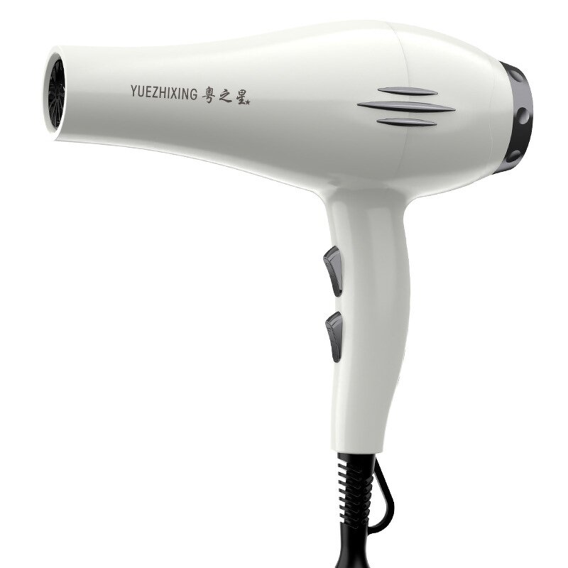 Hair Dryer Manufacturer - 2800W Salon Brushless 110000 RPM 3-Speed Anion