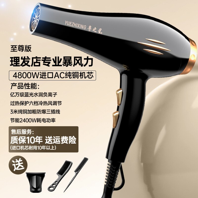 Hair Dryer Manufacturer - 3800W Salon Brushless 110000 RPM 3-Speed Anion