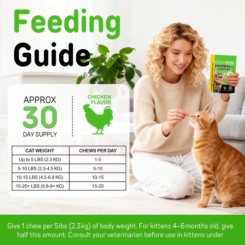 Pet Treats - Worafy Cat Hairball 100g Psyllium Husk Omega-3 Chicken Flavor