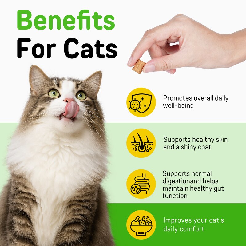 Pet Treats - Worafy Cat Hairball 100g Psyllium Husk Omega-3 Chicken Flavor