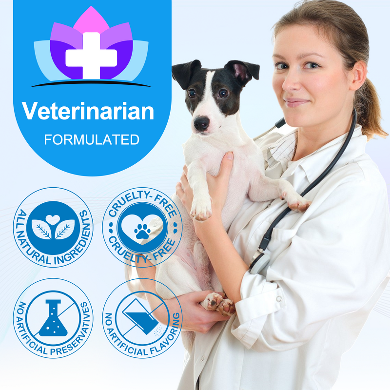 Pet Chews - Oimmal 60 Soft Itchy Skin Allergy Omega-3 Probiotic Dog Treats