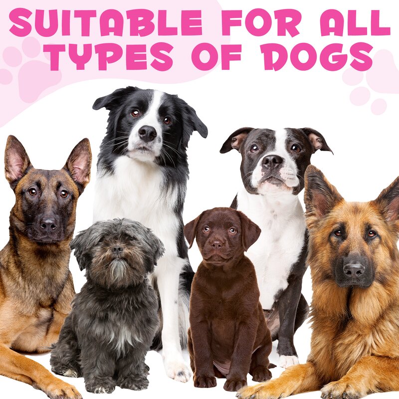 Pet Supplement - 60ml Natural Kidney Health Urination Immunity Support Cat