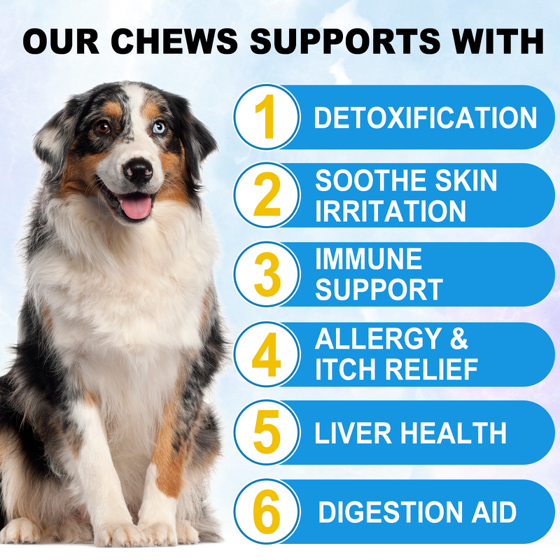 Pet Chews - Oimmal 60 Soft Itchy Skin Allergy Omega-3 Probiotic Dog Treats